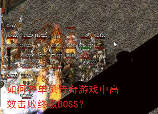 ����ڵ���������Ϸ�и�Ч�����ռ�BOSS��