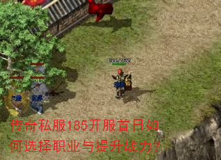 传奇私服185开服首日如何选择职业与提升战力? 传奇私服185开服首日如何选择职业与提升战力?