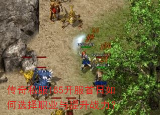 传奇私服185开服首日如何选择职业与提升战力? 传奇私服185开服首日如何选择职业与提升战力?