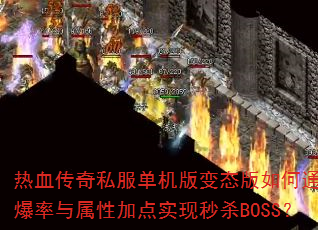 Ѫ˽̬ͨ߱ԼӵʵɱBOSS