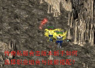 ˽ϻ汾ѡְҵ뼼ܴ䣿