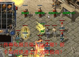 传奇私服页版入口在哪?新手如何快速上手攻略指南? 传奇私服页版入口在哪?新手如何快速上手攻略指南?