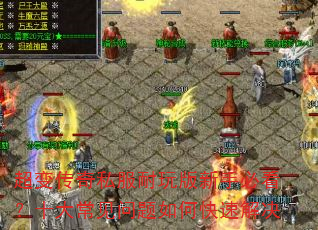 超变传奇私服耐玩版新手必看?十大常见问题如何快速解决 超变传奇私服耐玩版新手必看?十大常见问题如何快速解决