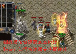 洫BOSSսؾοͨػȡװ