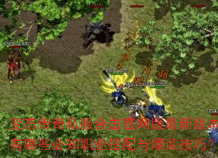 变态传奇私服合击官网版最新版本有哪些必知职业搭配与爆装技巧? 变态传奇私服合击官网版最新版本有哪些必知职业搭配与爆装技巧?