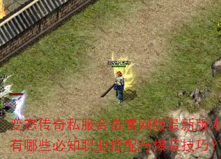 变态传奇私服合击官网版最新版本有哪些必知职业搭配与爆装技巧? 变态传奇私服合击官网版最新版本有哪些必知职业搭配与爆装技巧?