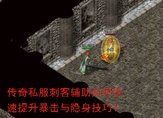 传奇私服刺客辅助如何快速提升暴击与隐身技巧? 传奇私服刺客辅助如何快速提升暴击与隐身技巧?