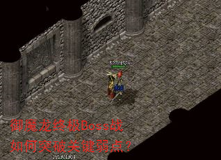 御魔龙终极Boss战如何突破关键弱点? 御魔龙终极Boss战如何突破关键弱点?