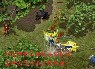 无忧传奇私服新手如何快速升级与获取顶级装备? 无忧传奇私服新手如何快速升级与获取顶级装备?