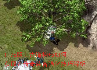 1.76Ϲŵ+5λȡװǿɽ