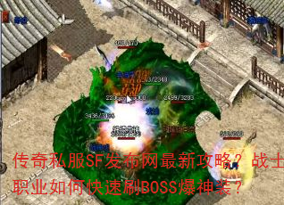 ˽SF¹ԣսʿְҵοˢBOSSװ