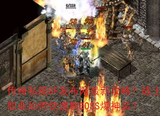 ˽SF¹ԣսʿְҵοˢBOSSװ