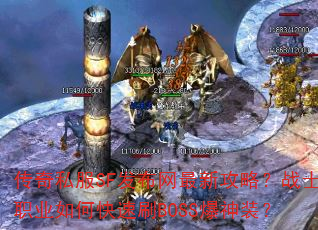 ˽SF¹ԣսʿְҵοˢBOSSװ