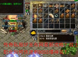 ˽SF¹ԣսʿְҵοˢBOSSװ