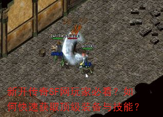 ¿SFұؿοٻȡװ뼼ܣ