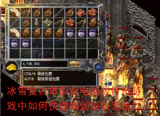 ѩŵְҵ԰洫Ϸοˢװ