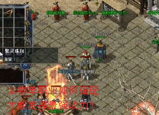 宠物单职业如何搭配才能发挥最强战力? 宠物单职业如何搭配才能发挥最强战力?