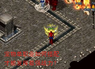 宠物单职业如何搭配才能发挥最强战力? 宠物单职业如何搭配才能发挥最强战力?