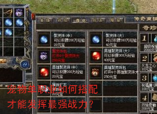 宠物单职业如何搭配才能发挥最强战力? 宠物单职业如何搭配才能发挥最强战力?