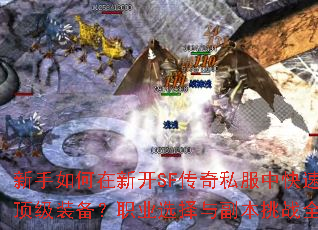 ¿SF˽пٻȡװְҵѡ븱սȫ