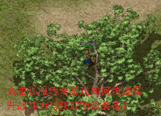 合击私服传奇游戏如何快速提升战斗力与获取顶级装备? 合击私服传奇游戏如何快速提升战斗力与获取顶级装备?