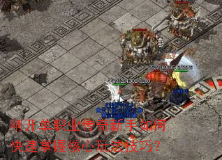 刚开单职业传奇新手如何快速掌握核心玩法技巧? 刚开单职业传奇新手如何快速掌握核心玩法技巧?