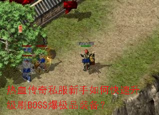 热血传奇私服新手如何快速升级刷BOSS爆极品装备? 热血传奇私服新手如何快速升级刷BOSS爆极品装备?