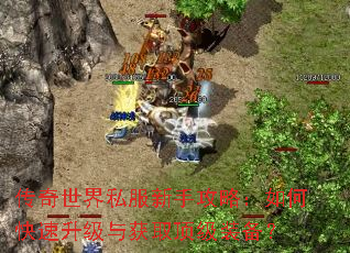 传奇世界私服新手攻略:如何快速升级与获取顶级装备? 传奇世界私服新手攻略:如何快速升级与获取顶级装备?