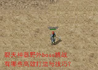 裂天神器野外boss挑战有哪些高效打法与技巧? 裂天神器野外boss挑战有哪些高效打法与技巧?