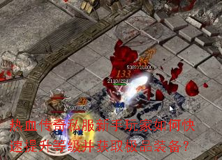 热血传奇私服新手玩家如何快速提升等级并获取极品装备? 热血传奇私服新手玩家如何快速提升等级并获取极品装备?