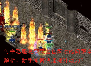 传奇私服总登录器官网攻略问题全解析,新手如何快速提升战力? 传奇私服总登录器官网攻略问题全解析,新手如何快速提升战力?