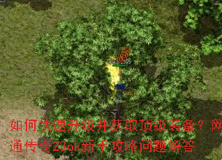 如何快速升级并获取顶级装备?网通传奇23ok新手攻略问题解答 如何快速升级并获取顶级装备?网通传奇23ok新手攻略问题解答