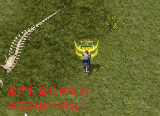 迷失打金传奇如何快速刷金不踩坑? 迷失打金传奇如何快速刷金不踩坑?