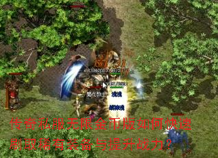 传奇私服无限金币版如何快速刷取稀有装备与提升战力? 传奇私服无限金币版如何快速刷取稀有装备与提升战力?