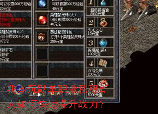 我本沉默单职业私服新人如何快速提升战力? 我本沉默单职业私服新人如何快速提升战力?