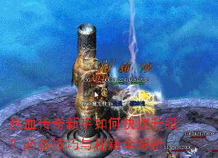 热血传奇新手如何快速升级?必备技巧与秘籍全解析 热血传奇新手如何快速升级?必备技巧与秘籍全解析