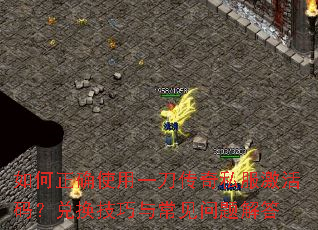 如何正确使用一刀传奇私服激活码?兑换技巧与常见问题解答 如何正确使用一刀传奇私服激活码?兑换技巧与常见问题解答