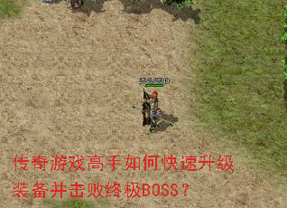 ������Ϸ������ο�������װ���������ռ�BOSS��