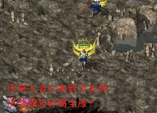 传奇王者归来新手如何快速崛起称霸全服? 传奇王者归来新手如何快速崛起称霸全服?