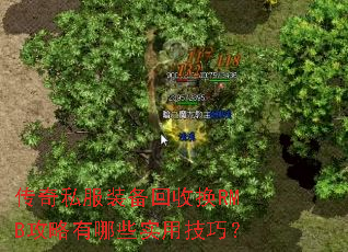 传奇私服装备回收换RMB攻略有哪些实用技巧? 传奇私服装备回收换RMB攻略有哪些实用技巧?