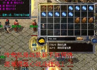 传奇私服战歌新手如何快速掌握核心战斗技巧? 传奇私服战歌新手如何快速掌握核心战斗技巧?