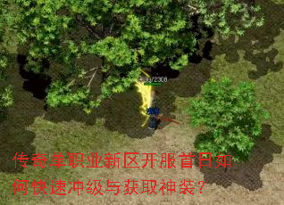 传奇单职业新区开服首日如何快速冲级与获取神装? 传奇单职业新区开服首日如何快速冲级与获取神装?