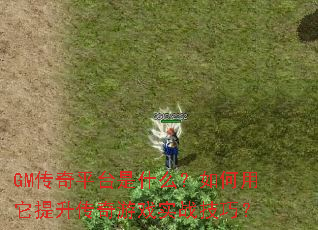 GM����ƽ̨��ʲô�������������������Ϸʵս���ɣ�