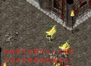 GM����ƽ̨��ʲô�������������������Ϸʵս���ɣ�