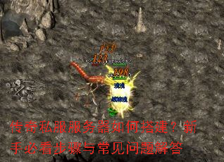 ����˽����������δ�����ֱؿ������볣��������