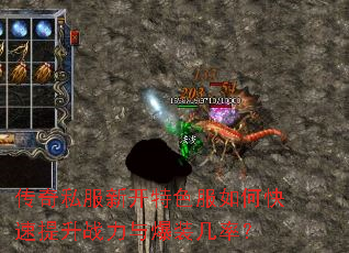 ����˽���¿���ɫ����ο�������ս���뱬װ���ʣ�