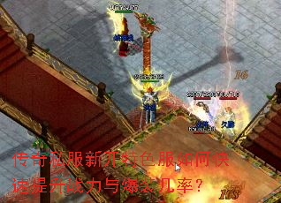 ����˽���¿���ɫ����ο�������ս���뱬װ���ʣ�