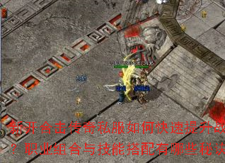 �¿��ϻ�����˽����ο�������ս����ְҵ����뼼�ܴ�������Щ�ؾ���