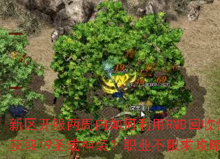 ���������������������RMB���տ��ٻ�ȡ19ʥ����װ��ְҵ�������Լ���