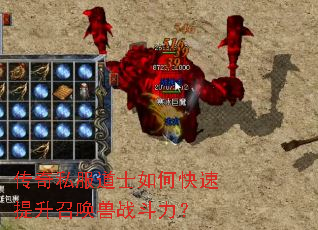 ����˽����ʿ��ο��������ٻ���ս������